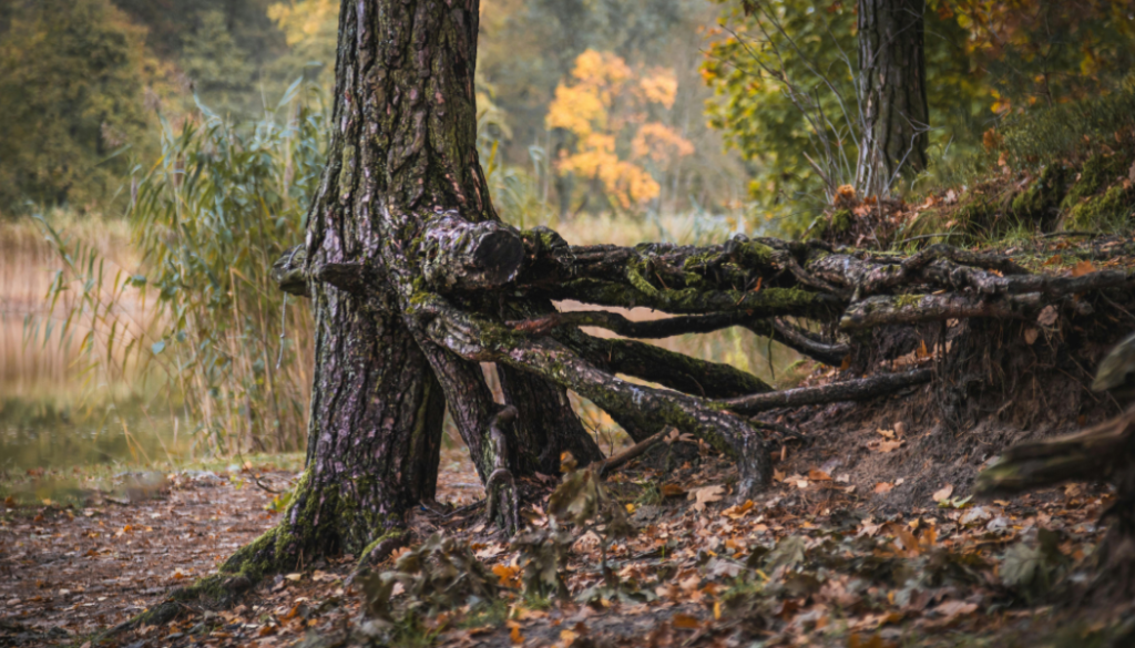 Comprendre son alimentation et sortir de la culpabilité