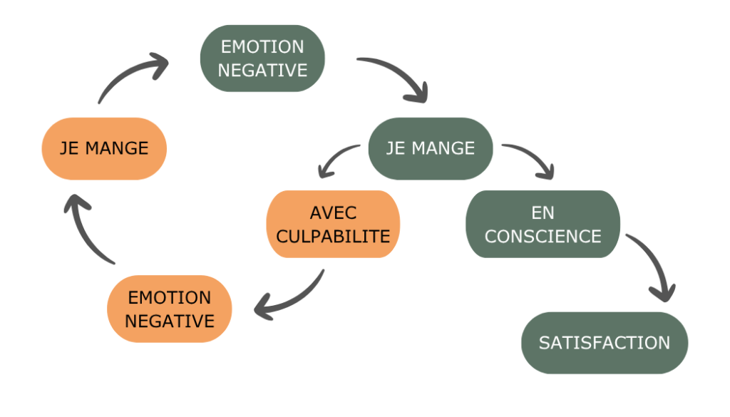 Cycle des compulsions alimentaires et régulation émotionnelle